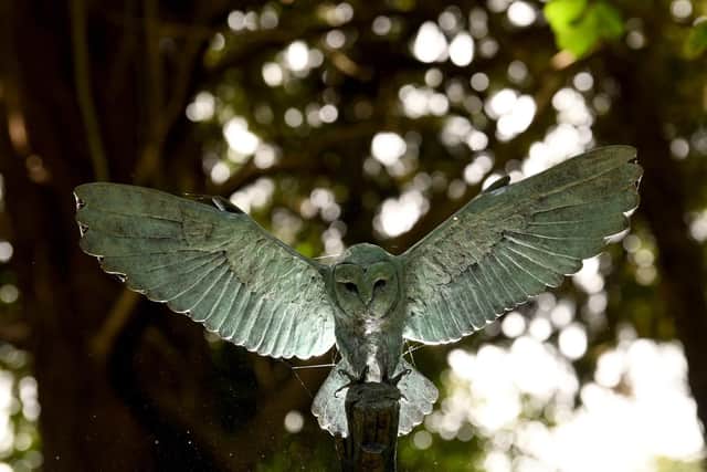 Landing Barn Owl by Charlie Smith. Picture by Simon Hulme