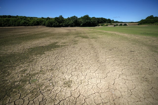 Forecasters believe there is a 30 per cent chance the mercury could pass the current UK record of 38.7C (101.7F), set in Cambridge in 2019.
