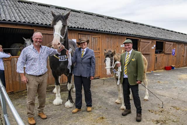 The Nicholson farming family with the Mare and Foal that took second at The Great Yorkshire Show after a health scare for the foal earlier this year.