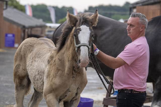 Barnsley farmer David Nicholson with his foal, who after a health scare when she was born, impressed at The Great Yorkshire Show.