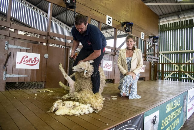 The Yorkshire Shepherdess Amanda Owen watches world champion sheep shearer Matt Smith in action during a demonstration promoting best practice.