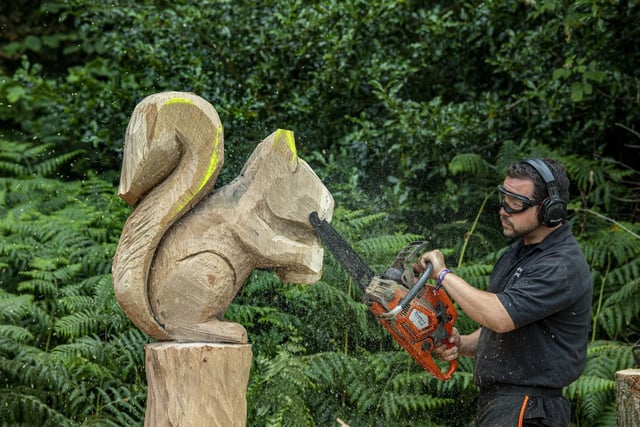 Chainsaw carver Karl Barker from Malton demonstrating his talent in the forestry area.