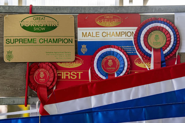 Rosettes and awards on show from the Great Yorkshire Show.
