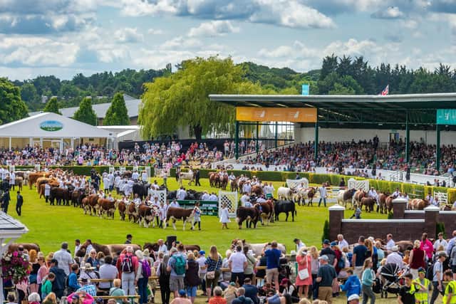 Great Yorkshire Show - Day Three - Pictured Grand Cattle Parade held in the main ring with over 150 cattle on display for members of public to view. Writer: James Hardisty