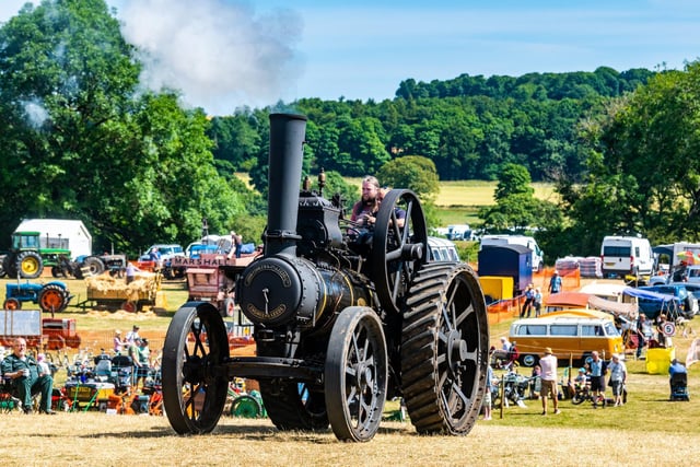 Steam engines taking part in the Grand Parade.