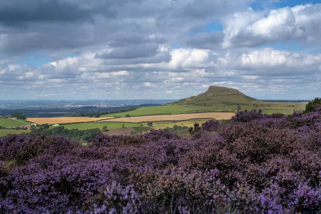 A view of Roseberry Topping in the North York Moors National Park. Picture: Ian Day