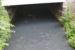 The poorer water quality downstream of the George Street tank