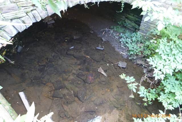 Bradford Beck upstream of the faulty detention tank