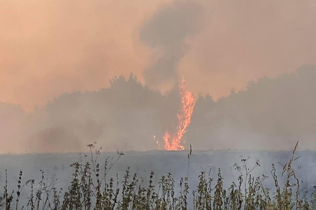 A wildfire in Goldthorpe on Monday July 18 [Image: South Yorkshire Fire and Rescue]