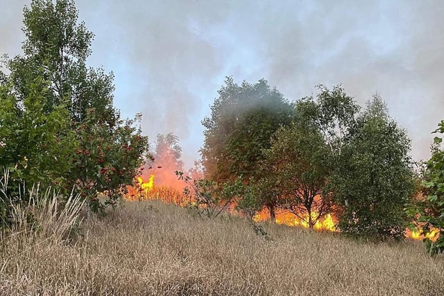 Grass ablaze in a Goldthorpe wildfire on Monday July 18 [Image: South Yorkshire Fire and Rescue]