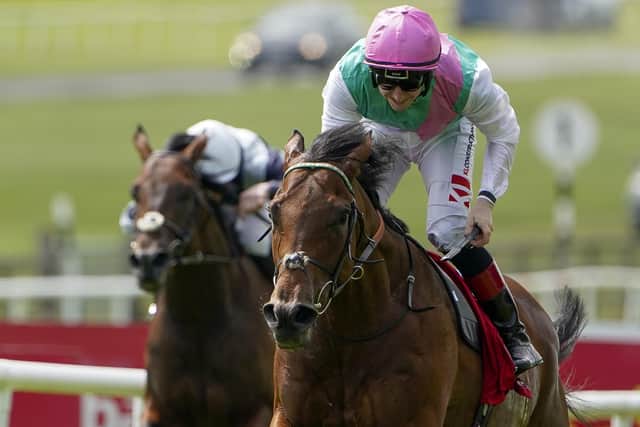 Classic hope: Irish Derby winner Westover is one of 27 entries for the St Leger at Doncaster. (Photo by Alan Crowhurst/Getty Images)