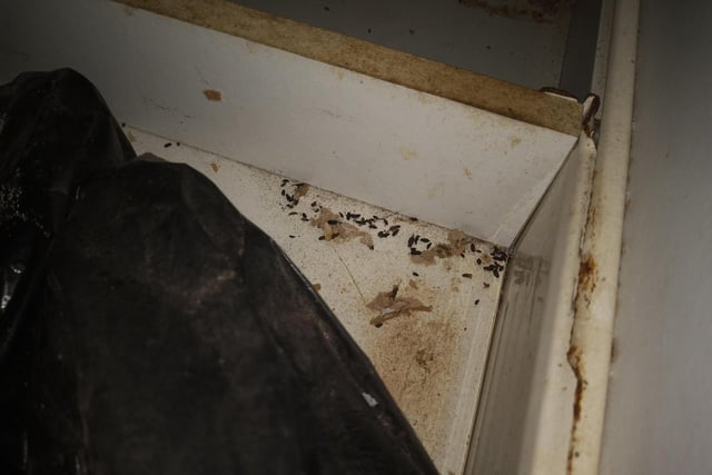 Rat droppings could be seen in the takeaway