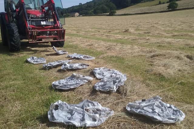 The sky lanterns were found in a Bingley field on Monday
