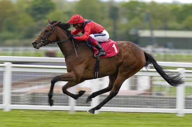 Doncaster date: York Musidora Stakes winner Emily Upjohn could return to Yorkshire for the St Leger in September. (Photo by Alan Crowhurst/Getty Images)