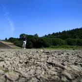 A drought order has been applied for by the Envrironment Agency in Yorkshire