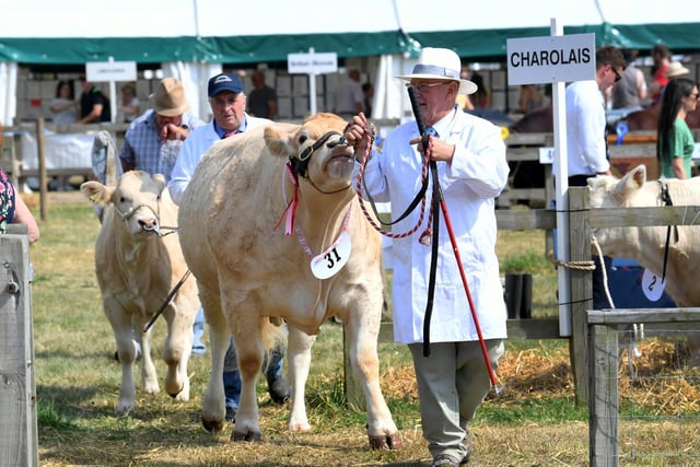 The best photos from the Driffield Show 2022.