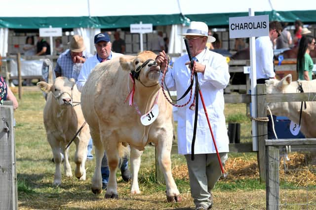 The best photos from the Driffield Show 2022.