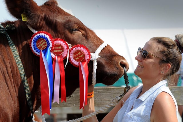 Rose Thompson from Sneaton, Whitby pictured with her Champion Beef Shorthorn Grinkle Firefox Kooky Rose at the show