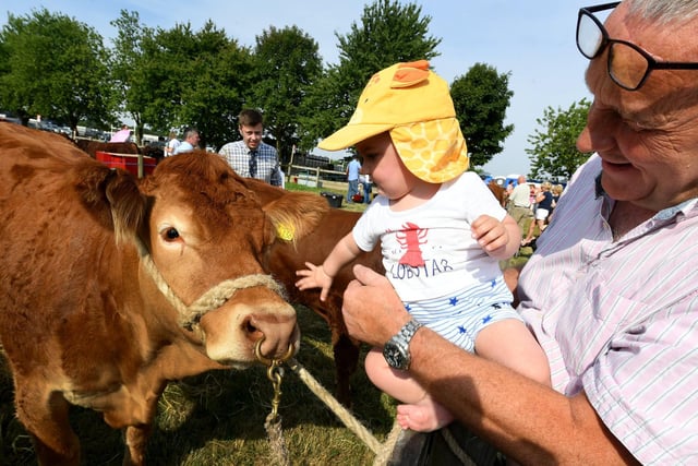 Little George Connolly aged 8 months with his Grandad Ted Harwood at the show