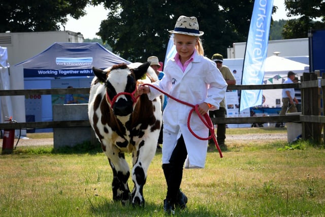 Harriet Townend with her British Blue calf Sweet But Psycho at the show.