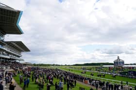 Cash bonus: Yorkshire charites could win £20,000 thanks to a special sweepstake based around next month's Sky Bet Ebor Handicap run on the Knavesmire. Picture: Tim Goode/PA Wire.