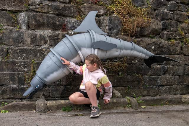 Saskia, 9, and a Dolphin. The Settle Flower Pot Festival. Picture Bruce Rollinson