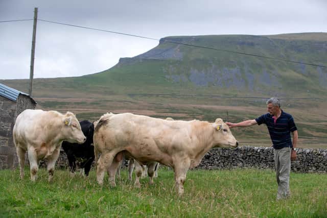 The Coates family have farmed in the shadow of Pen-y-Ghent for 100 years
