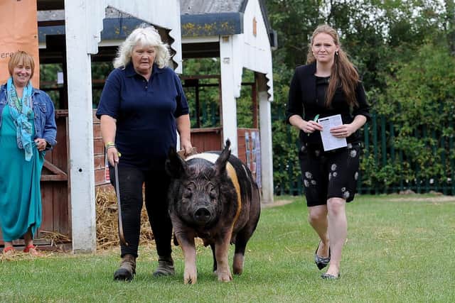 Pig steward Georgina Watson with her mother Tricia Hodgson at the Great Yorkshire Show