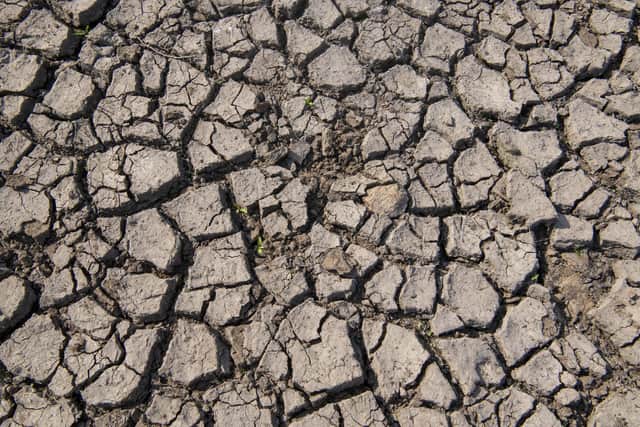 Parched scorched cracked mud from the low water levels at Thruscross Reservoir near Harrogate as the long spell without significant rainfall continues. Picture Tony Johnson