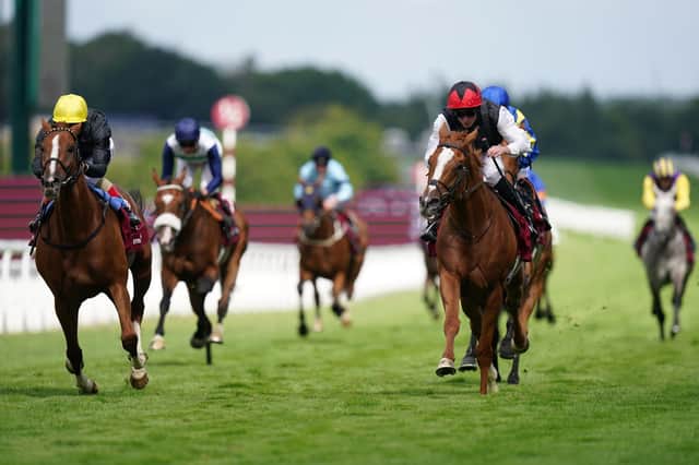 Winning run: Kyprios ridden by Ryan Moore (second right, red helmet) passes Stradivarius ridden by Andrea Atzeni (left, yellow helmet) on their way to winning the Al Shaqab Goodwood Cup Stakes. Picture: Adam Davy/PA Wire.