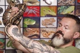 Concerns have been raised after snakes usually found in Africa were found in a popular Sheffield park. Charles Thompson is pictured with a royal python that was dumped in. Graves Park. Picture Scott Merrylees