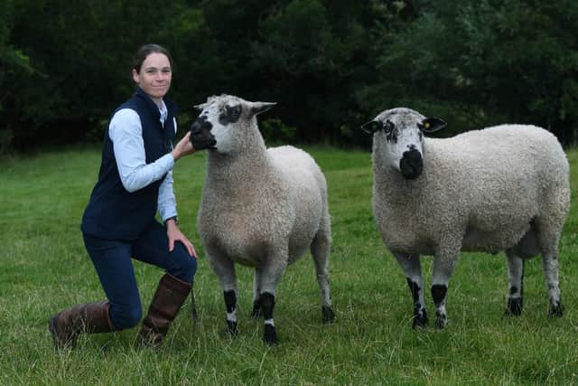 The couple had never raised sheep or farmed before but are now breed champions