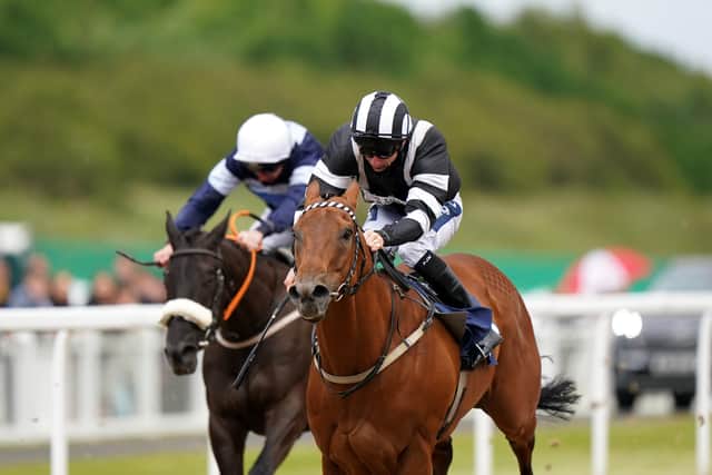 Selected: Jockey Paul Mulrennan is due to ride for Yorkshire.  (Photo by Tim Goode-Pool/Getty Images)