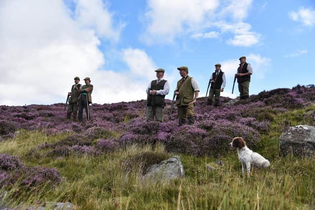 The Glorious Twelfth has marked the start of the open season for red grouse since Victorian times, and this year there is a sense of optimism, with shooting on the moorlands of Yorkshire for the first time in a couple of years due to weather conditions proving more favourable for breeding.