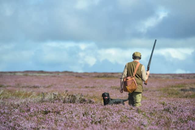 The landscapes in Yorkshire, such as the North York Moors National Park and The Yorkshire Dales National Park attract people from Europe and beyond for the grouse season.