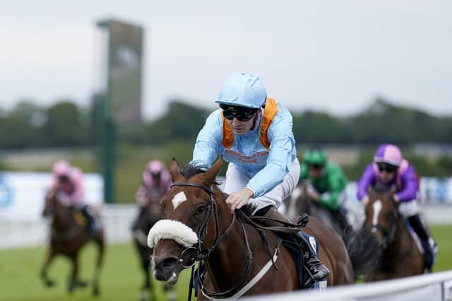 Speed Queen: Malton-trained The Platinum Queen won The British EBF Alice Keppel Fillies' Conditions Stakes in a track record time at Glorious Goodwood last month.
(Photo by Alan Crowhurst/Getty Images)