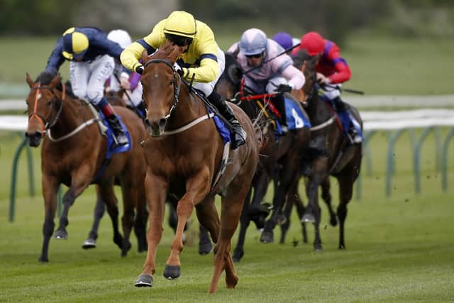 Back again: Last year's Great St Wilfrid Handicap winner Justanotherbottle defends his crown today. (Photo by Alan Crowhurst/Getty Images)