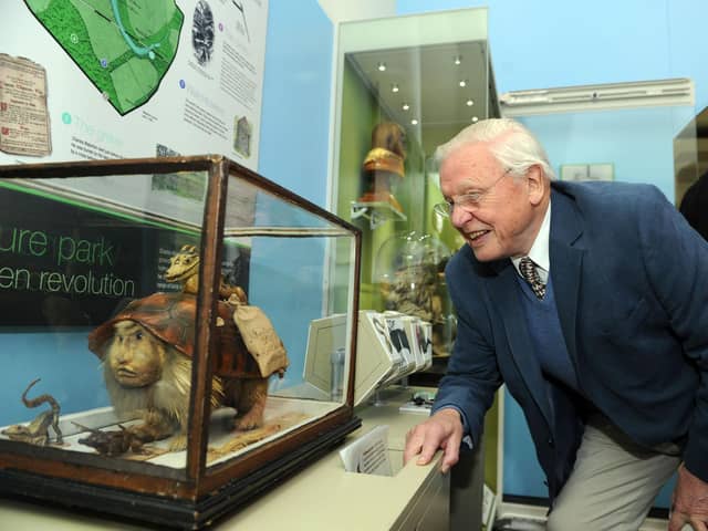Sir David Attenborough admiring the Waterton Collection during a visit to Wakefield Museum in 2014