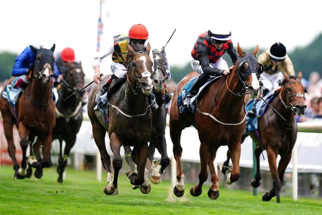 Brilliant feat: David O'Meara's Blue for You ridden by jockey Daniel Tudhope (second right) wins the Clipper Logistics (Heritage Handicap) at York. O'Meara also trraine dthe second and fourth horses home. Picture: Mike Egerton/PA Wire.