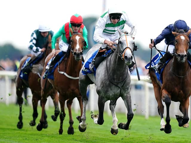 Seventh heaven: Alpinista won her first British Group 1 as she took the Darley Yorkshire Oaks under Luke Morris. Picture: Mike Egerton/PA
