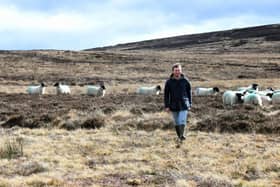 Amongst those to receive a grant is Aidan Foord of Wilds Slack and Lawnsgate Farms near Whitby, whose project has benefitted both the local environment and those who visit the family’s picturesque caravan and camping sites.
