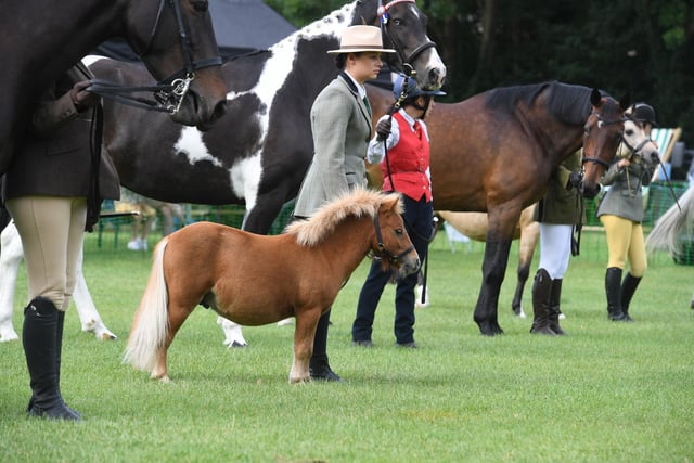 The Horse and Pony show at the Mirfield Show
