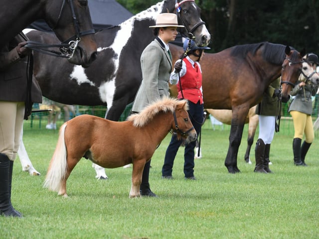 The Horse and Pony show at the Mirfield Show