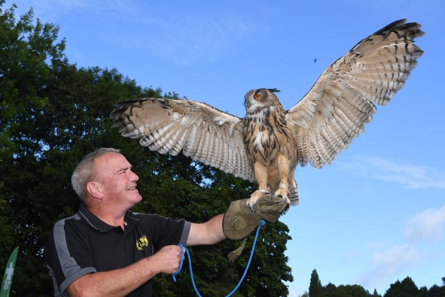 Wayne Auty of Wise Bird of Prey with 10 year old Willow the Eagle Owl