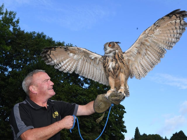 Wayne Auty of Wise Bird of Prey with 10 year old Willow the Eagle Owl