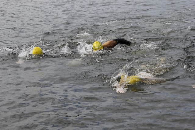 Swimmers in a reservoir.
