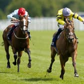 SAME AGAIN PLEASE: Tis Marvellous (right) wins The Dubai Duty Free Shergar Cup Dash at Ascot last year but will be partnered with Paul Hanagan for today’s Beverley Bullet Picture Alan Crowhurst/Getty Images