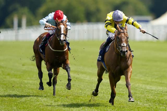 SAME AGAIN PLEASE: Tis Marvellous (right) wins The Dubai Duty Free Shergar Cup Dash at Ascot last year but will be partnered with Paul Hanagan for today’s Beverley Bullet Picture Alan Crowhurst/Getty Images