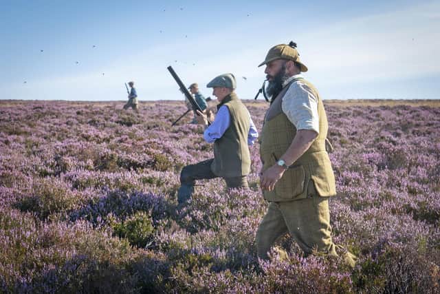 A grouse shoot taking place.