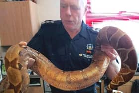Technical Rescue Officer Ronnie posed for a picture with the snake
